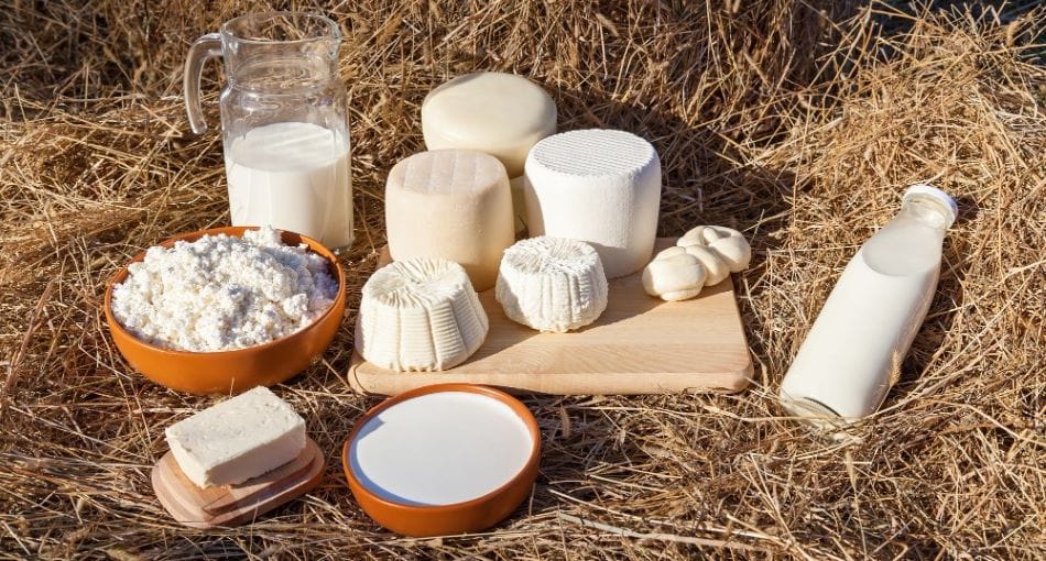 Are Dairy Products Good for Everyone?