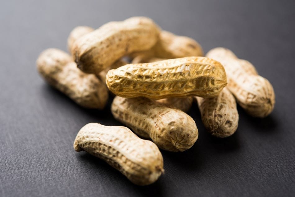 Peanuts Benefits You Need to Know Today
